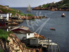 St. John's, the Narrows